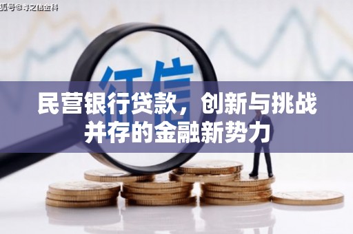那玛夏民营银行贷款，创新与挑战并存的金融新势力