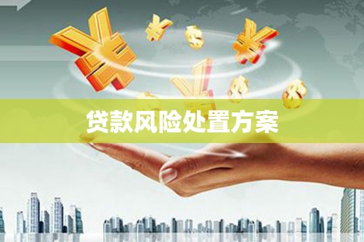 西昌贷款风险处置方案