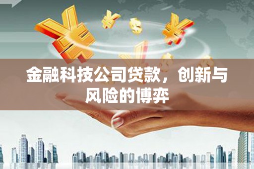竹崎金融科技公司贷款，创新与风险的博弈