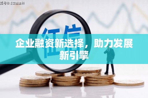 娄星企业融资新选择，助力发展新引擎