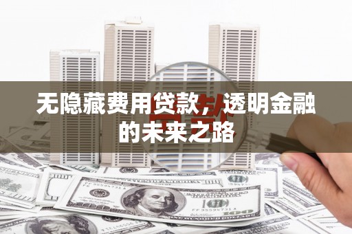 双清无隐藏费用贷款，透明金融的未来之路