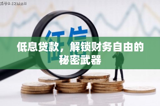 东安低息贷款，解锁财务自由的秘密武器
