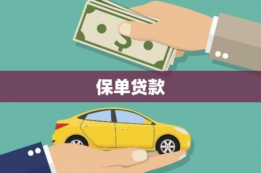 昭平保单贷款