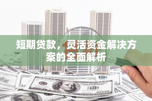 庄浪短期贷款，灵活资金解决方案的全面解析