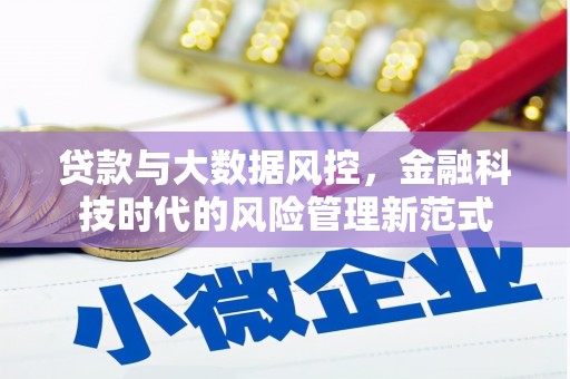 阿瓦提贷款与大数据风控，金融科技时代的风险管理新范式