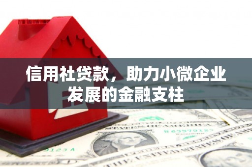 新泰信用社贷款，助力小微企业发展的金融支柱