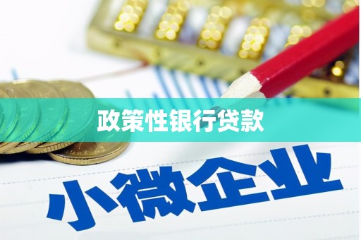 武汉政策性银行贷款