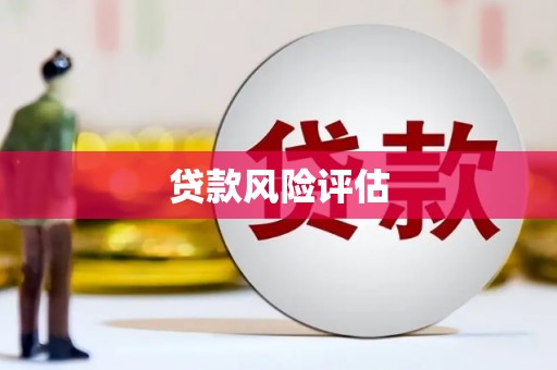 南溪贷款风险评估