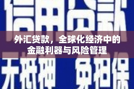 大竹外汇贷款，全球化经济中的金融利器与风险管理