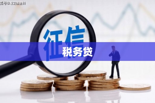 东昌税务贷