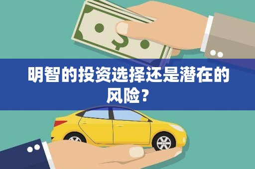 朴子明智的投资选择还是潜在的风险？