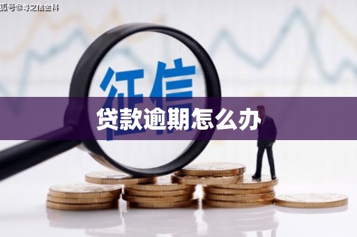 大社贷款逾期怎么办