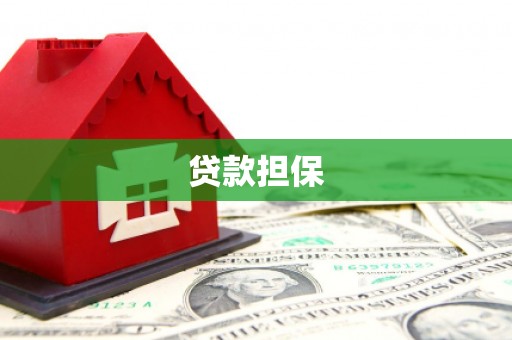 汝南贷款担保