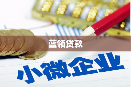 泌阳蓝领贷款