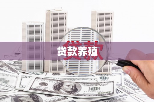 阜沙贷款养殖