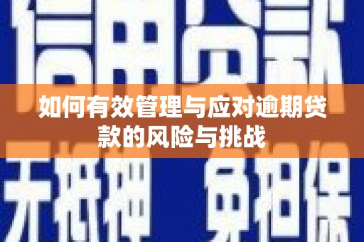 吉州如何有效管理与应对逾期贷款的风险与挑战