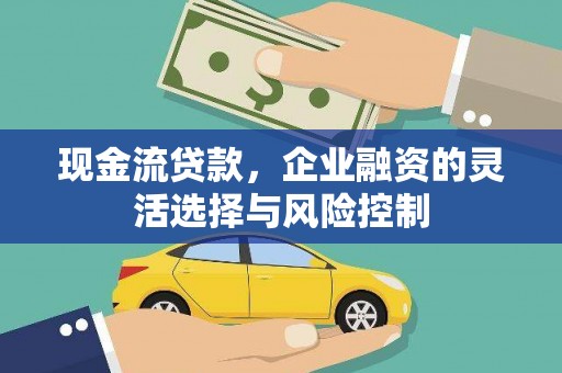 卓尼现金流贷款，企业融资的灵活选择与风险控制