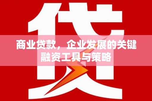 洮北商业贷款，企业发展的关键融资工具与策略