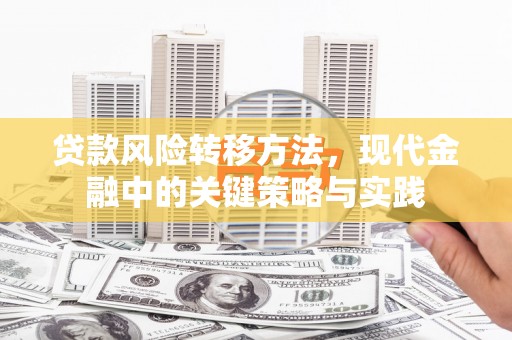 宁夏贷款风险转移方法，现代金融中的关键策略与实践