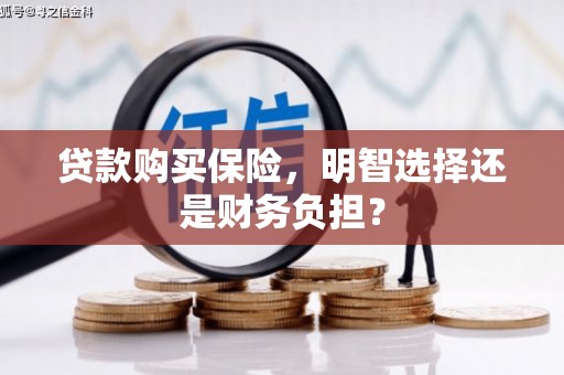 六横贷款购买保险，明智选择还是财务负担？