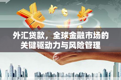 郴州外汇贷款，全球金融市场的关键驱动力与风险管理