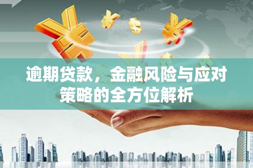 施秉逾期贷款，金融风险与应对策略的全方位解析