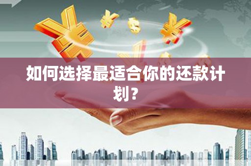 西和如何选择最适合你的还款计划？