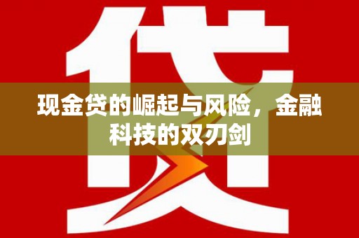 颍上现金贷的崛起与风险，金融科技的双刃剑
