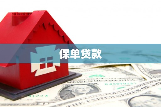 普格保单贷款