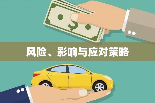 元长风险、影响与应对策略