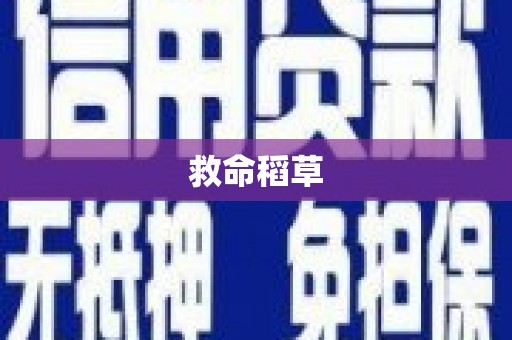 闻喜救命稻草