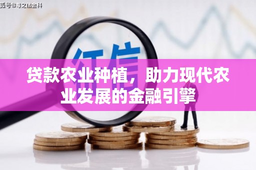 连江贷款农业种植，助力现代农业发展的金融引擎