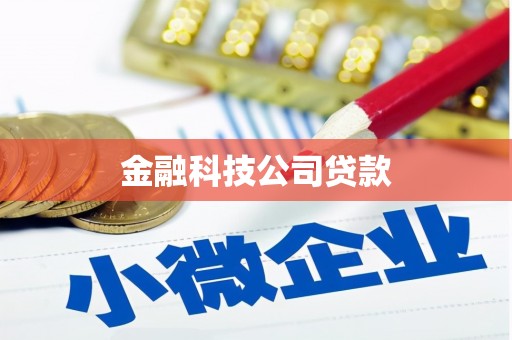 三湾金融科技公司贷款