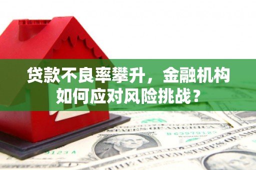 德令哈贷款不良率攀升，金融机构如何应对风险挑战？