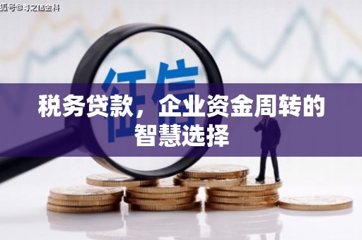 葵青税务贷款，企业资金周转的智慧选择