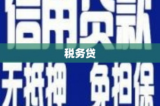 习水税务贷