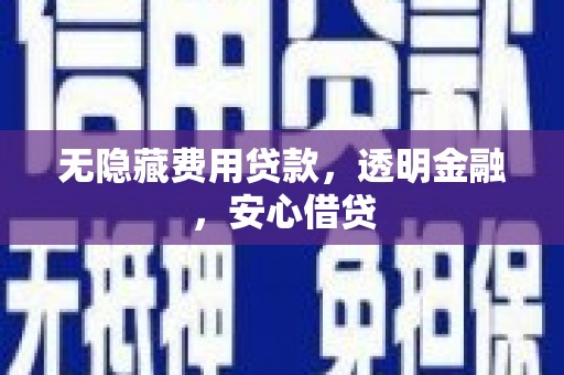 蒙阴无隐藏费用贷款，透明金融，安心借贷
