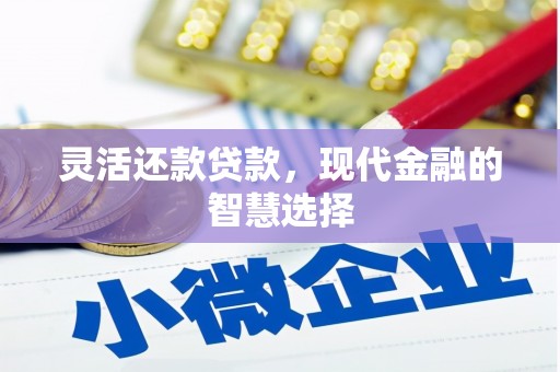 汝南灵活还款贷款，现代金融的智慧选择