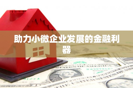 凤阳助力小微企业发展的金融利器