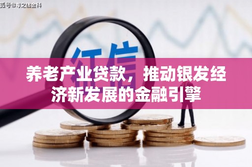 德格养老产业贷款，推动银发经济新发展的金融引擎