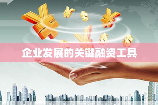 桑日企业发展的关键融资工具