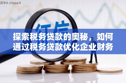 郴州探索税务贷款的奥秘，如何通过税务贷款优化企业财务