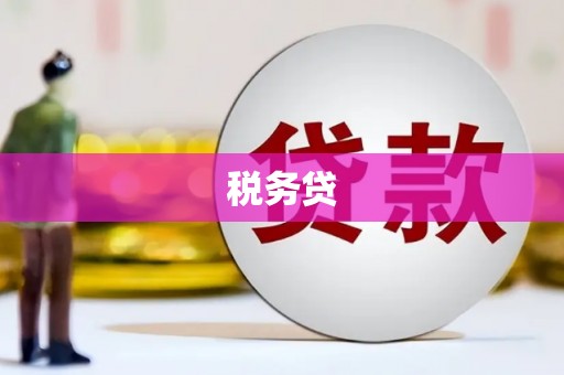 新县税务贷