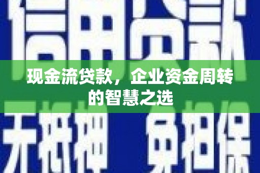 巧家现金流贷款，企业资金周转的智慧之选