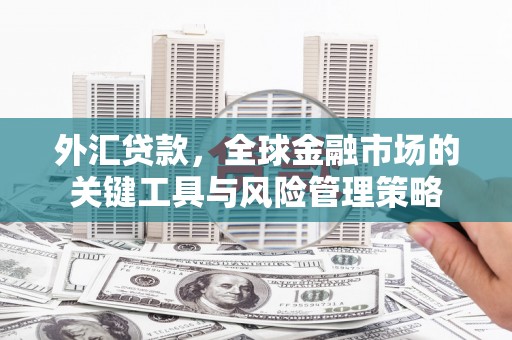 西畴外汇贷款，全球金融市场的关键工具与风险管理策略