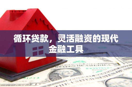 常山循环贷款，灵活融资的现代金融工具