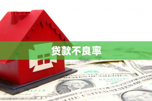 象州贷款不良率