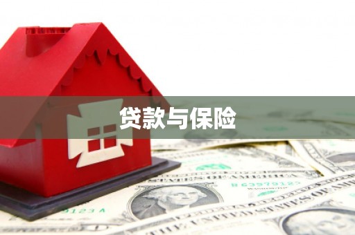 大邑贷款与保险