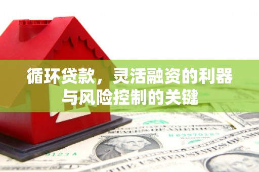 浠水循环贷款，灵活融资的利器与风险控制的关键