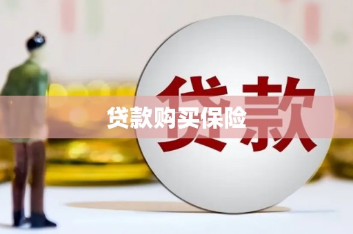 雨城贷款购买保险